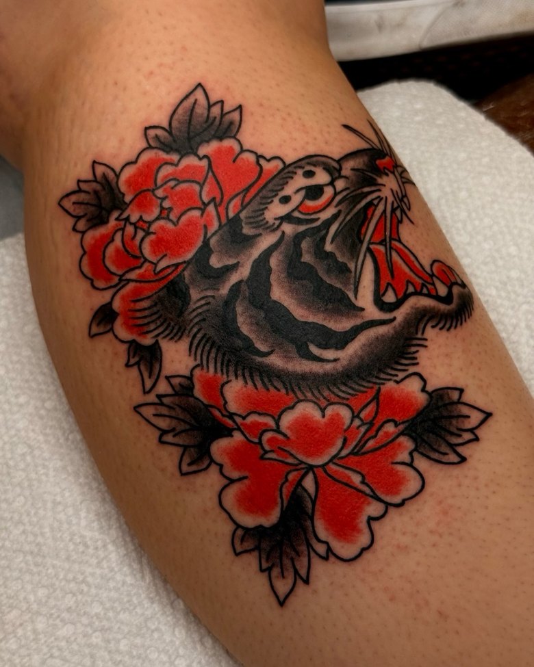A snarling Japanese traditional tiger head wrapped in red peonies, tattooed on a calf.