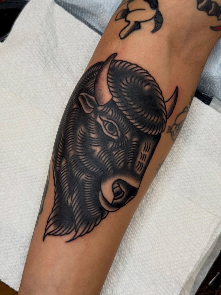 An American traditional bison head tattooed in black and grey on a forearm.