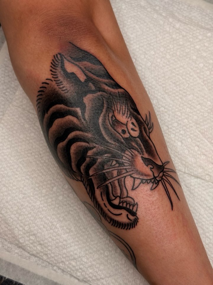 A Japanese traditional snarling tiger head in black and grey, tattooed on a calf.
